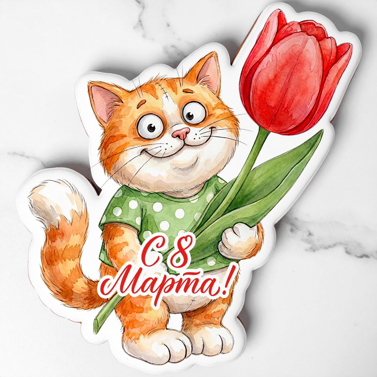 Кот с тюльпаеом